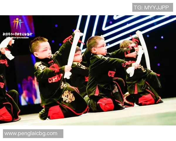 北京街舞队现状分析与未来发展趋势的深入探讨