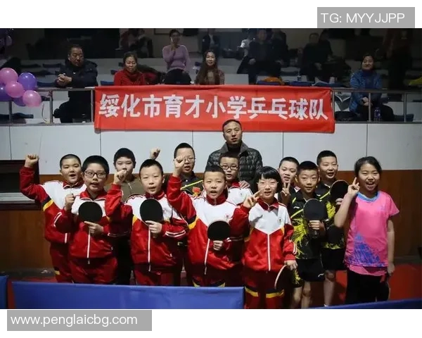 乒乓球的奋斗与荣耀：杭州乒乓球队成长历程的真实记录与反思