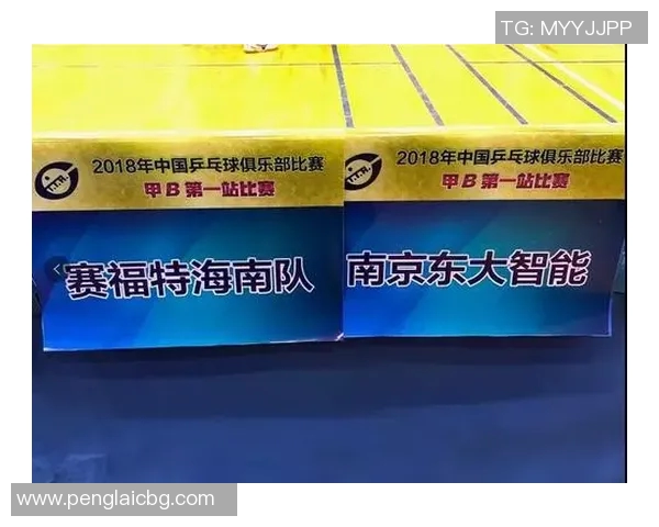 南京乒乓球队进攻策略分析与比赛表现的得失总结 南京乒乓球队进攻策略分析与比赛表现的得失总结