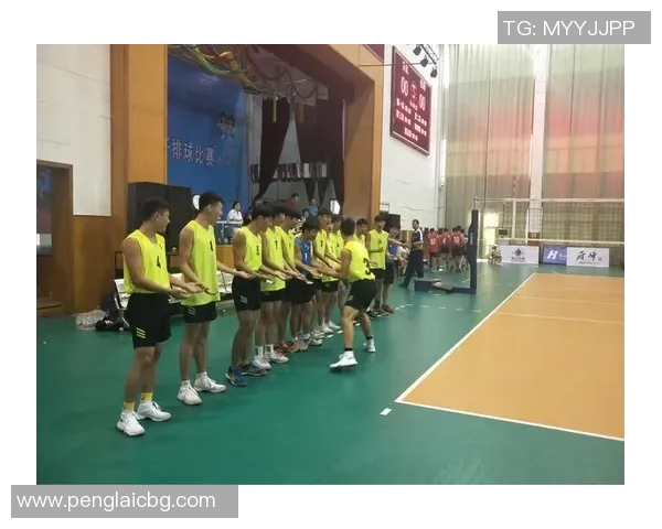 张芳回顾排球生涯的辉煌与挑战，分享成长故事与未来展望