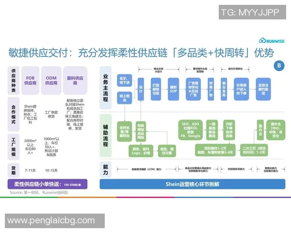 广州排球队的战术创新与运营体系解析探讨