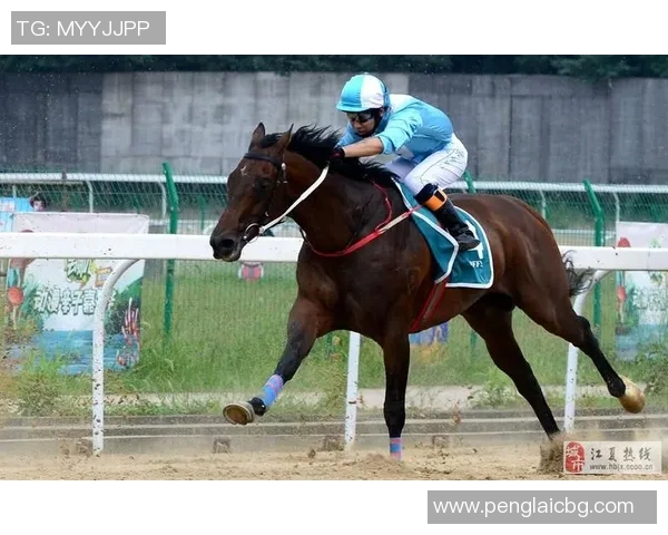 武汉篮球队速度飙升创历史新高引发关注与热议