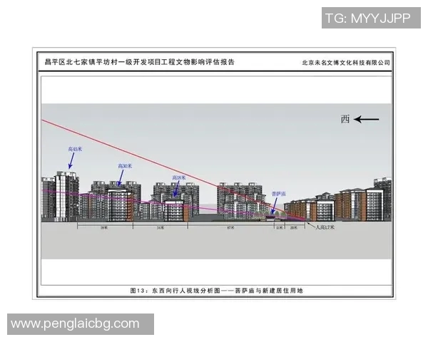 武汉飞盘队近期状态分析与表现评估探讨 武汉飞盘队近期状态分析与表现评估探讨