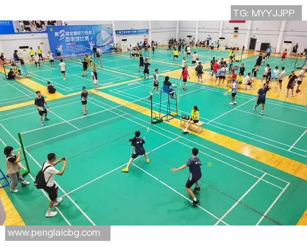 羽毛球技术排行榜揭晓深圳羽毛球队荣获第四名佳绩