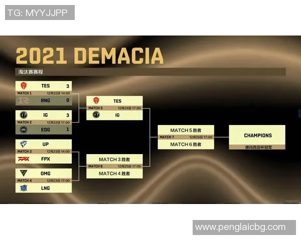 赛后分析：WE与BLG在团队协作中的精彩表现与策略探讨