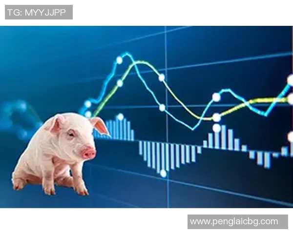 西安极限运动队节奏表现的数据分析与趋势探讨