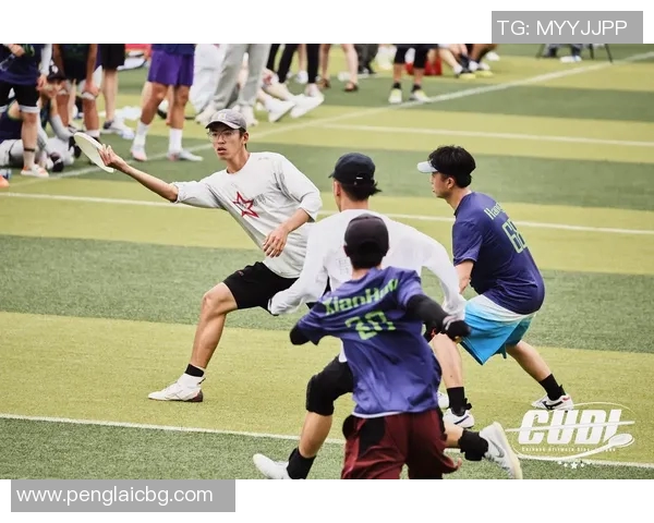 飞盘热潮下的北京飞盘队赛场经验转型与发展探讨 飞盘热潮下的北京飞盘队赛场经验转型与发展探讨