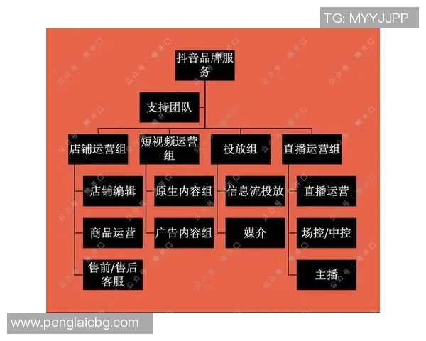 DOTA2战术深度解析：FPX团队策略与游戏风格的全面剖析