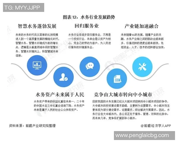 北京足球队实力分析与未来发展前景的深度探讨