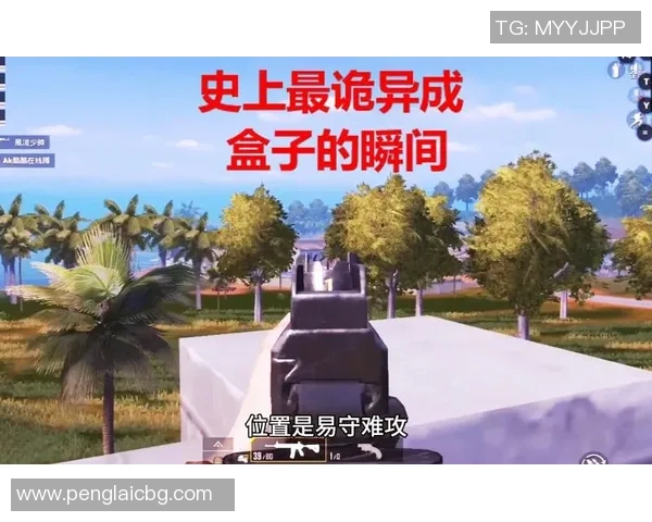 吴强谈和平精英发展历程与未来展望的深度专访