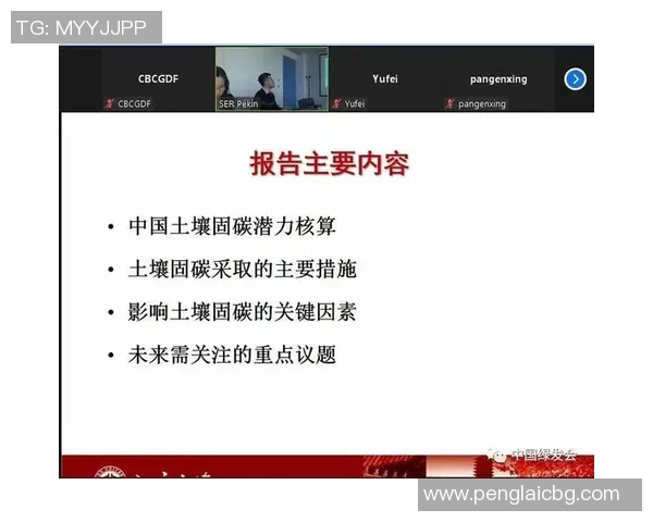 南京乒乓球队的节奏体系与战术运用探讨及其对比赛的影响分析