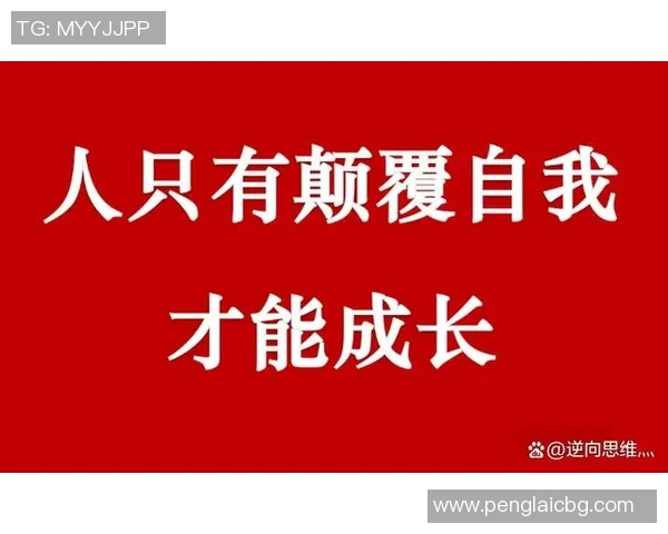 对话刘敏：回顾她的篮球生涯与成长历程的深度访谈