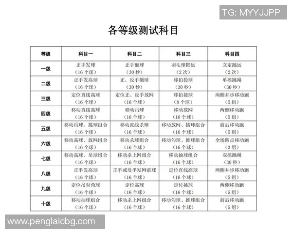 成都羽毛球队个人能力提升之路热议与展望