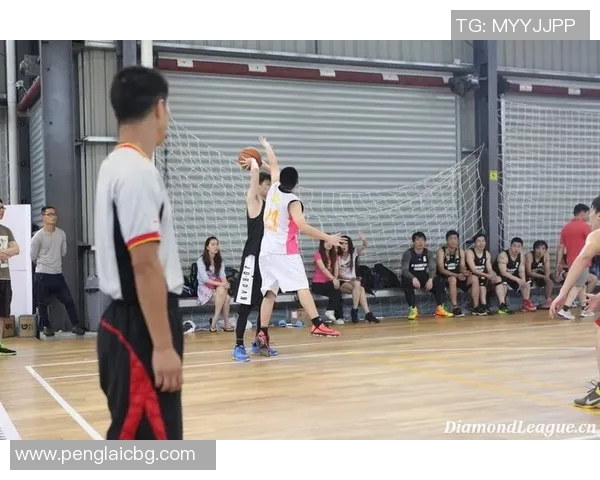 成都排球队在钻石联赛中的转型与挑战探索新篇章