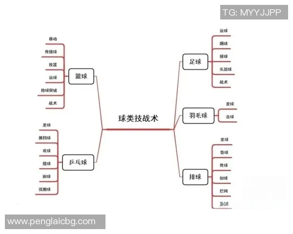 成都篮球队整体压制体系解析及其战术应用探讨