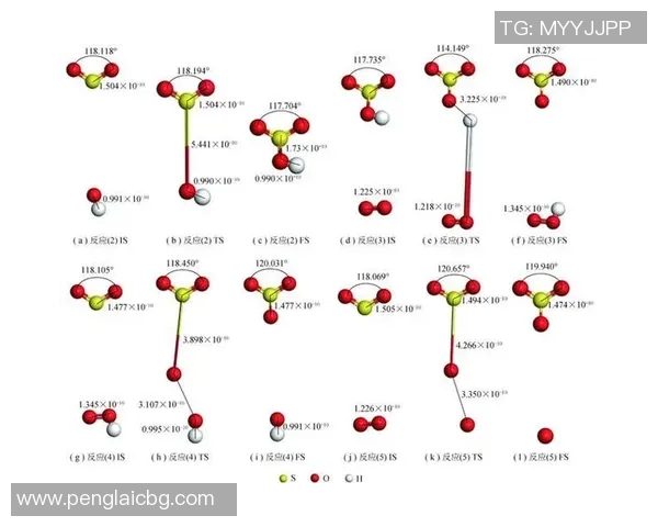 西安羽毛球队心理素质分析及其对比赛表现的影响研究