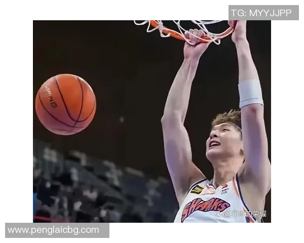 2016年CBA精彩对决上海队与辽宁队的巅峰对抗赛回顾