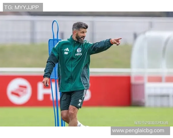 奥地利与巴西比赛中队长的领导风采与战术对比分析 奥地利与巴西比赛中队长的领导风采与战术对比分析