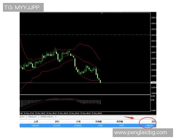 澳大利亚与新西兰精彩对决直播全程回顾与分析