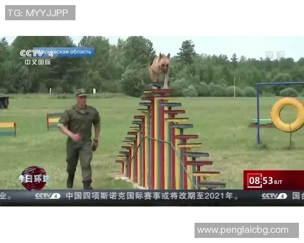 海地与墨西哥激战正酣比赛结果揭晓引发热议