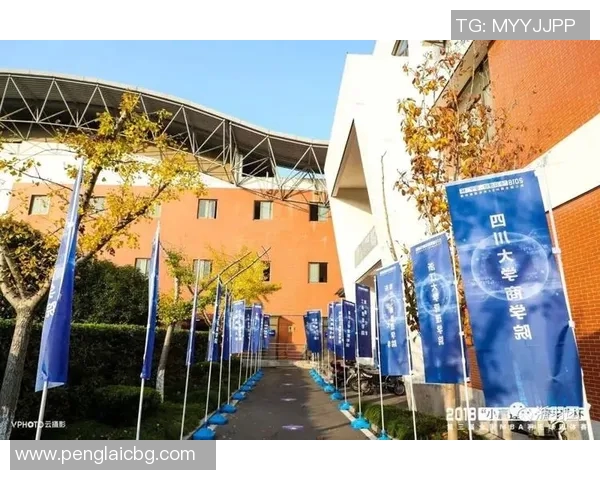 广州排球队选拔赛点评：比赛经验如何影响球队表现与未来发展MBA