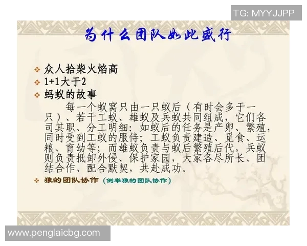 TES在Major赛中的灵活战术运用与团队协作分析 TES在Major赛中的灵活战术运用与团队协作分析