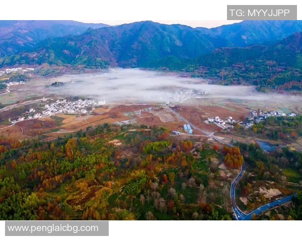 探索阿拉巴的历史文化与自然风光之美，感受独特的地方魅力与人文气息