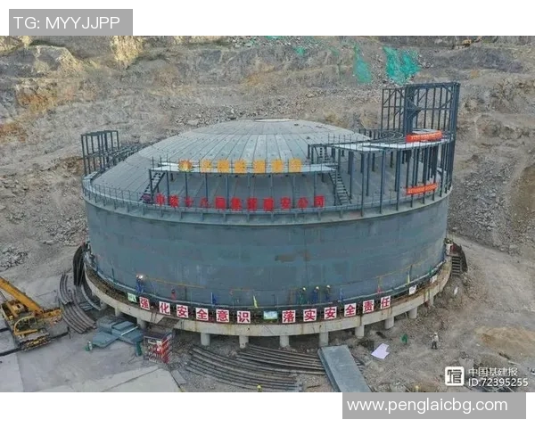 数据分析揭示LNG市场意识变化及其对未来发展的影响探讨 数据分析揭示LNG市场意识变化及其对未来发展的影响探讨