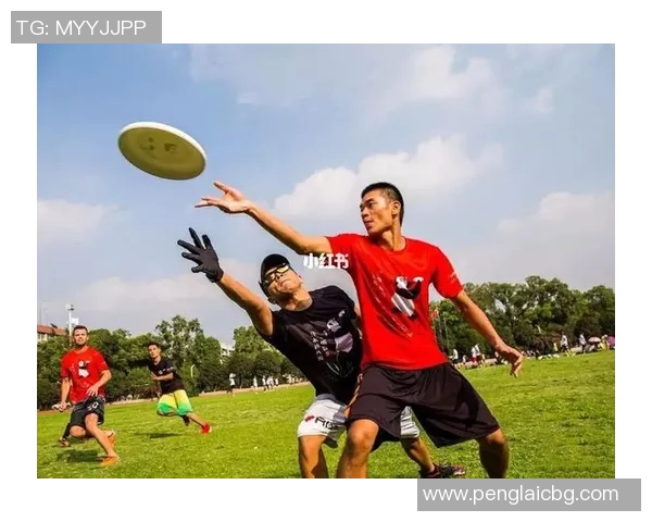 飞盘竞技背后的心灵力量：深入武汉飞盘队的心理素质探讨MBA