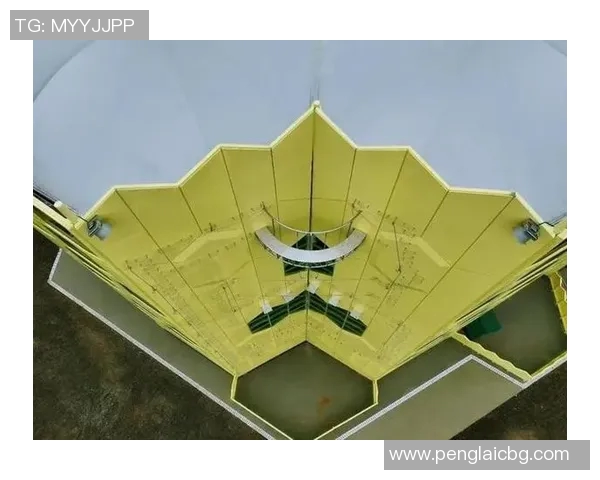 广州极限运动队运营策略深度分析与实践经验分享