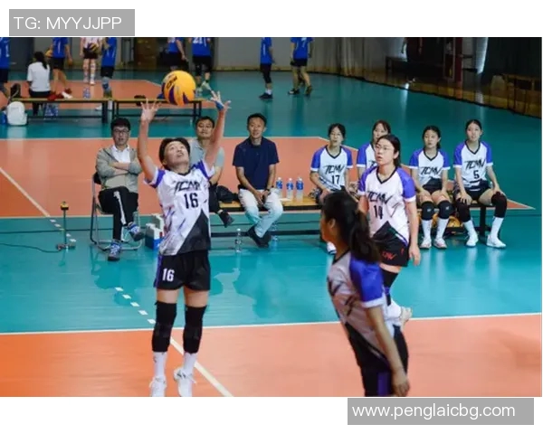 杭州排球队在全国排球配合排行榜中荣获第八名的佳绩引发关注