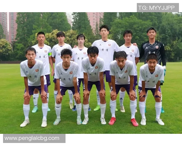 上海足球队在精英赛中的个人能力分析与表现评估 上海足球队在精英赛中的个人能力分析与表现评估